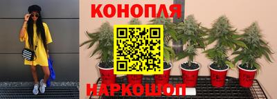 ГАЛЛЮЦИНОГЕННЫЕ ГРИБЫ Бугуруслан