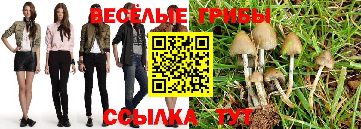 Псилоцибиновые грибы мухоморы  Вход с VPN  Псилоцибиновые грибы ЛСД  Щёлково 